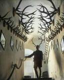 Prince Franz Joseph surrounded by his hunting trophies. Bavaria. Trizonia. August 1949.