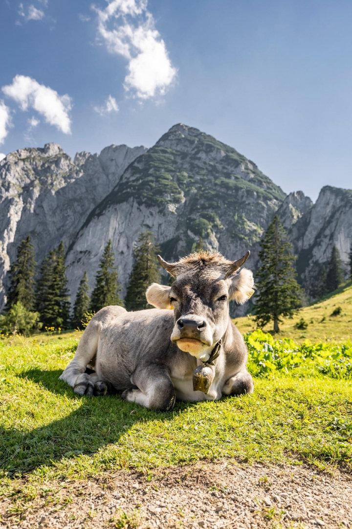 Photo from news post