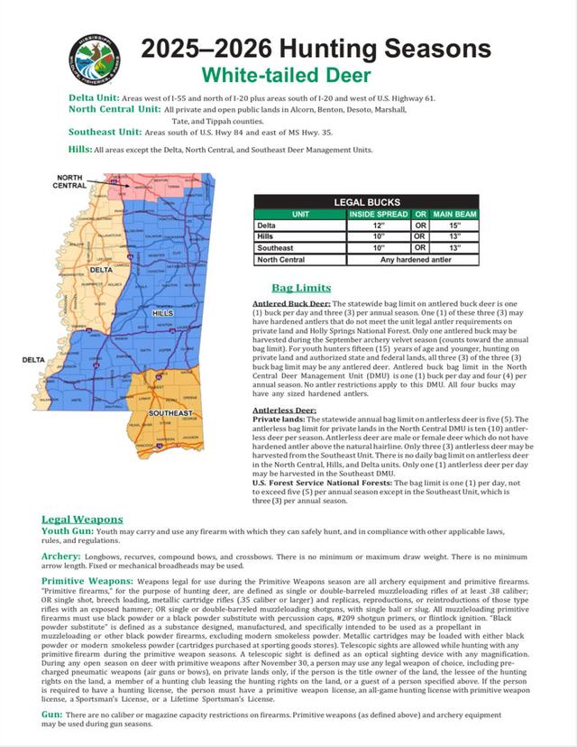 Hunting Seasons in Mississippi 2025–26: Big Game and Small Game, Licenses, and Regulations Guide