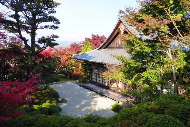 부산광역시에서의 사냥: 지역적 특성과 사냥 문화