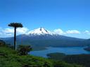 Journey to summer south of the Equator (during winter in the U.S.) for diverse trout fishing in a beautiful, serene, and welcoming country. Chile has mountain peaks highe