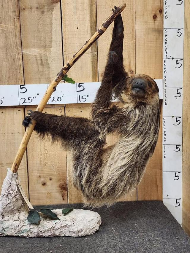 Photo from news post