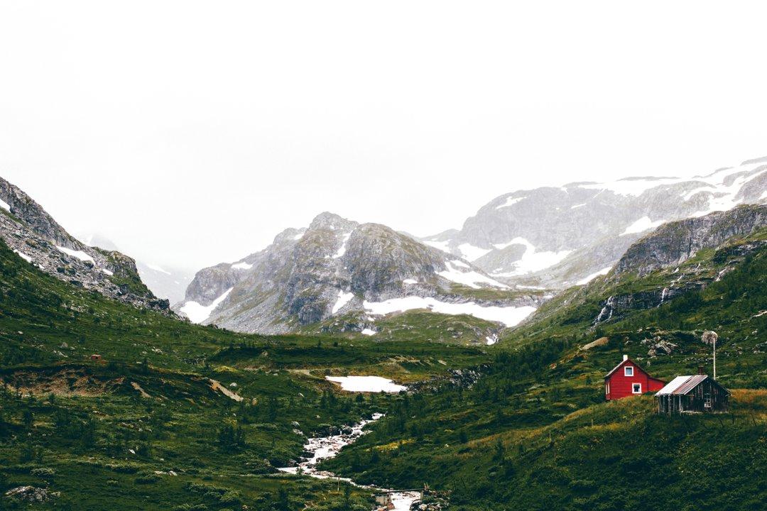 Lofoten Islands Hunting in Norway: A Unique Arctic Experience.