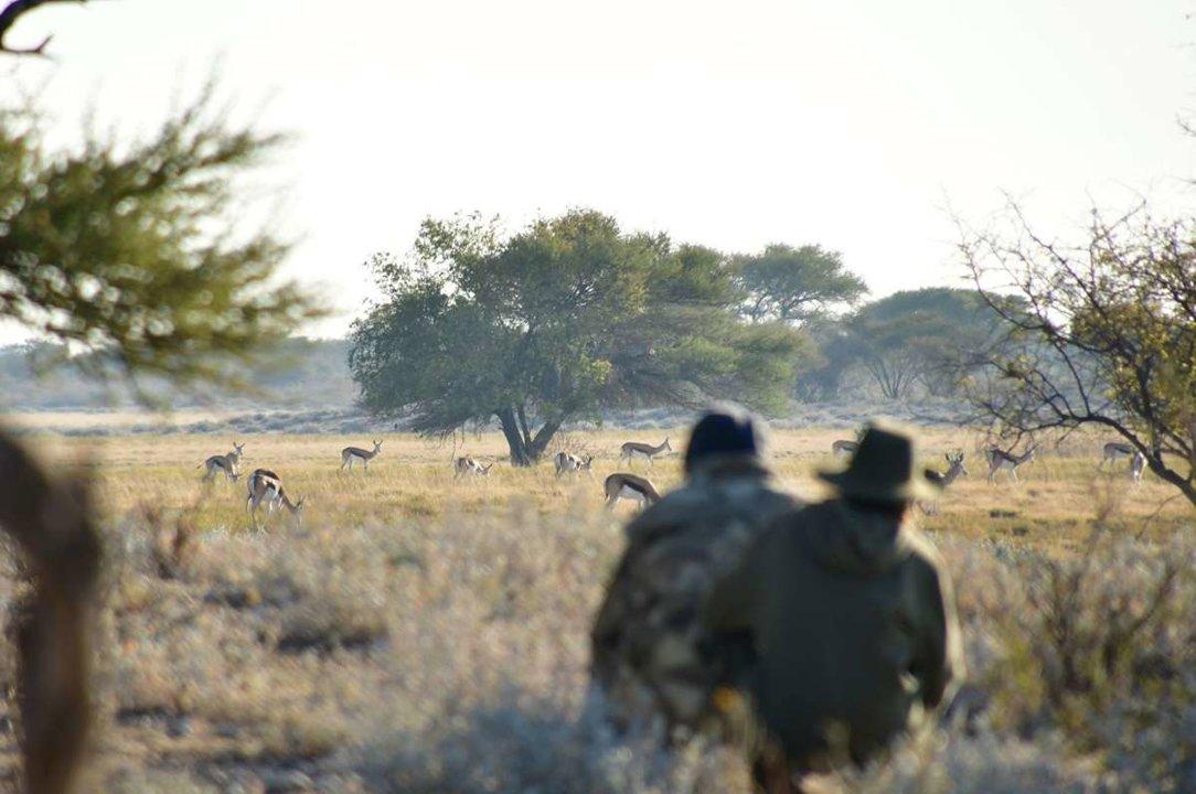 Hunting in Chobe District (Botswana), Africa: Geographical Features, Hunting Characteristics, Game Species, Seasons, Associations, Legislation and Traditions.