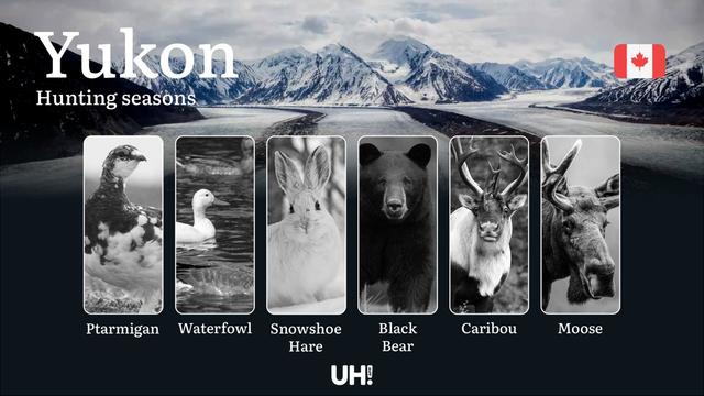 YUKON Hunting Seasons: Mastering Territorial Regulations, Strategizing Your <strong>Hunt</strong> Calendar, and Expert Techniques for the Northern Wilderness