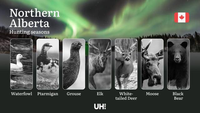 Hunting Seasons in NORTHERN ALBERTA: Full Season Calendar, Licensing Information and Essential Regulations
