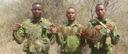 Savannah Pursuits: Exploring the Wild Heart of Mali’s Kayes Region – A Hunter’s Guide to Biodiversity, Tradition, and Adventure

The Kayes Region, located in western Mali