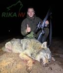 🌗🐺Pa, što je s vukovima? Što se tiče vuka, i kod nas je sve u redu! Evgeniy Golubev još jednom je dokazao svoje kvalifikacije!

Lov na wabu u zemljama Bjelorusije s izv