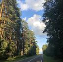 Природа никогда не спешит, но всегда успевает.