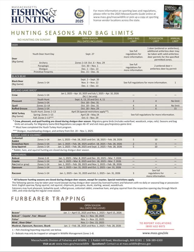 Hunting Seasons in Massachusetts 2025–26: Big Game and Small Game, Licenses, and Regulations Guide