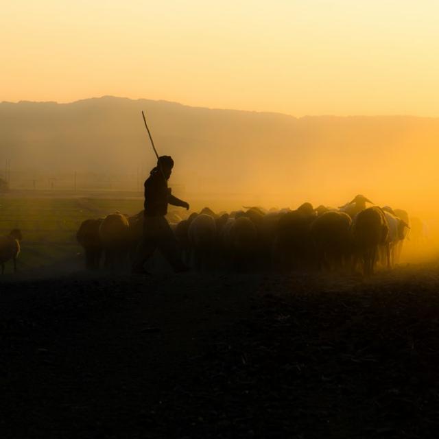 ethiophunter avatar