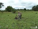 Hunting in Ogooué-Ivindo, Gabon: Geography and Hunting Seasons, Laws and Legislation, Hunting Communities in Gabon

Natural Features of Gabon Region

Ogooué-Ivindo, locat
