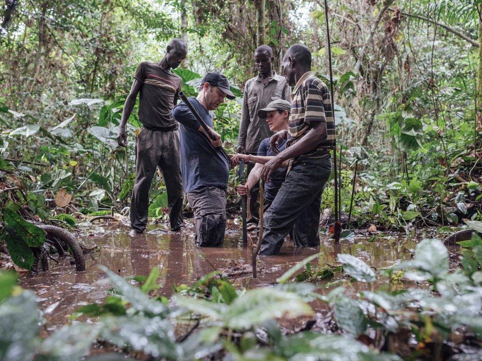 Hunting in Cuvette: River Systems and Wetlands, Local Hunting Communities, and Wildlife Diversity