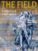 The Field Magazine

British monthly magazine about country matters and field sports. The Field Magazine was started as a weekly magazine in 1853, and has remained in print since then; Robert Smith Surtees was among the founders. In the nineteenth century, it was known as Field: The Country Gentleman's Newspaper.  The magazine is one of the earliest hobby magazines. It is published by Future plc.
Founded in 1853, the editors The Field cover the best of hunting, fly fishing, hunting, sporting dogs and everything else that makes life in the British countryside exceptionally enjoyable.

Editor: Alexandra Henton
Frequency: Monthly
Circulation: 28,294 
Print and digital editions.
First issue: 1853; 172 years ago
Company: Future plc
Country: United Kingdom
Language: English
Website: https://thefield.co.uk

Alexandra Henton,THE FIELD Editor:

“Dickens was one of the first Field readers. Well, he might have been – he was certainly drinking pals with The Field’s first editor. Back in 1853, the magazine was founded for those who loved shooting, fishing, hunting and could sniff out a decent claret at 1,000 paces.

It’s still like that today. The Field gives its readers the best, whether it’s guns, rods, writing or photography. We like to think it’s like a great party – entertaining, informative and provocative.”

The Field Magazine is a monthly glossy dedicated to those brave souls who shoot, fish and hunt way beyond the call of duty. Since 1853, its staff has selflessly brought its readers the cream of rural life, be it pheasant shooting, dry-fly fishing or the distinct merits of Cheval Blanc. If you love fieldsports, errant terriers and very foxy friends at hunt balls, The Field is for you.

 Field #Magazine #Hunting #Future_plc #United_Kingdom
