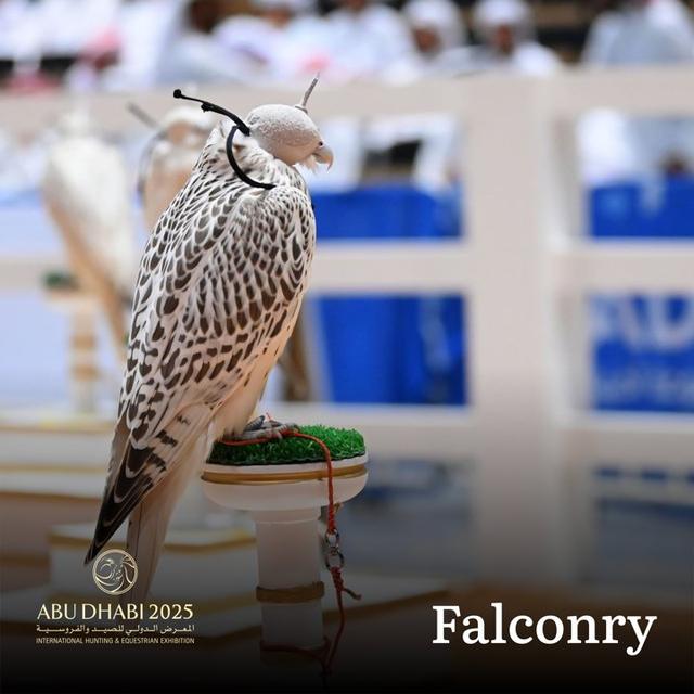 Falconry <strong>ADIHEX</strong> 2025 Abu Dhabi Hunting Expo Sector Information and Photo
