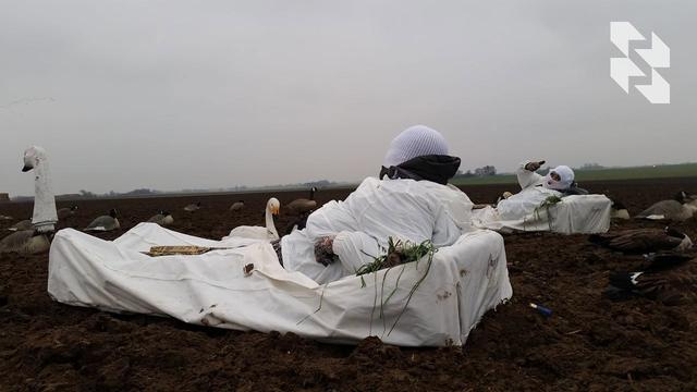 Photo from news post
