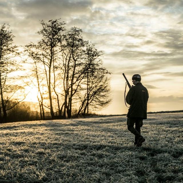 privolzhsky_ohotnik avatar