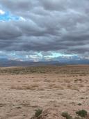 Chasse au Maroc: Les meilleures régions pour la chasse au Maroc partie 1

La chasse est une tradition ancienne au Maroc, un pays riche en biodiversité et en paysages variés. Que vous soyez un chasseur novice ou un expert, le Maroc offre une multitude d'opportunités pour découvrir des régions majestueuses et chasser divers animaux. Dans cet article, nous allons explorer les meilleures régions pour la chasse au Maroc, les espèces animales que vous pouvez chasser et le nombre de chasseurs dans le pays.

Régions de Chasse au Maroc

Le Maroc est un pays vaste, qui abrite plusieurs régions idéales pour la chasse. Chaque région possède ses propres caractéristiques géographiques et biologiques, offrant ainsi une expérience unique aux chasseurs. Voici un aperçu des principales régions de chasse :

1. La région de l'Atlas

La chaîne de montagnes de l'Atlas est l'une des destinations de chasse les plus populaires au Maroc. Les paysages montagneux et les vallées verdoyantes abritent une variété d'animaux sauvages, notamment le mouflon à manchette et le cerf de l'Atlas. Cette région est parfaite pour les chasseurs qui aiment les terrains escarpés et la nature sauvage.
Les meilleures périodes pour chasser dans l'Atlas se situent généralement entre septembre et novembre. Pendant cette période, les animaux sont plus actifs, ce qui augmente vos chances de succès. La beauté des paysages, combinée à la richesse de la faune, fait de cette région un endroit incontournable pour tout chasseur.

2. La région du Moyen Atlas

Le Moyen Atlas, avec ses forêts de chênes verts et ses lacs, attire de nombreux passionnés de chasse. Cette région est réputée pour ses populations de sangliers, qui sont très recherchés par les chasseurs. La chasse au sanglier peut se faire à l'affût ou en battue, offrant ainsi différentes techniques de chasse. De plus, cette région propose des paysages pittoresques pour des journées mémorables.
Les mois de l'hiver, notamment de janvier à mars, sont idéaux pour la chasse dans le Moyen Atlas, car les sangliers sont plus faciles à repérer pendant cette période. Se lever tôt le matin pour profiter d'une journée de chasse au cœur des paysages enneigés est une expérience inoubliable.

3. La région du Sud Marocain

Le sud du Maroc, en particulier le Souss-Massa, est connu pour sa faune unique et ses paysages désertiques. Les chasseurs peuvent y rencontrer des espèces telles que l'oryx, le gazelle dorcas et différentes espèces d'oiseaux migrateurs. Les vastes plaines offrent un cadre idéal pour la chasse, et il est possible de combiner cette activité avec des excursions dans le désert.
Cette région est particulièrement appréciée des chasseurs d'oiseaux, notamment pendant les mois d'octobre à janvier, lorsque les oiseaux migrateurs affluent. La diversité des paysages, allant des montagnes aux dunes de sable, rend chaque sortie de chasse exceptionnelle.

#ChasseAuMaroc #RegionsDeChasse #Biodiversité #MonsAtlas #MoyenAtlas #ChasseAuSanglier #FauneMarocaine