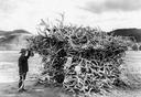 Chief Ranger Sam Woodring stands outside a deer antler house in Yellowstone National Park, USA, 1928. 

Sam T. Woodring is known to history as the first superintendent at Grand Teton National Park, a chief ranger at Yellowstone National Park and as a U.S. Army veteran. He assisted presidents and helped build Grand Teton’s trail system; a peak in the park is named in his honor.

Mount Woodring (11,595 feet (3,534 m)) is located in the Teton Range, Grand Teton National Park, Wyoming. The mountain is immediately west of Leigh Lake and is sandwiched between Paintbrush Canyon to the south and Leigh Canyon to the north. The best access to the summit is from Paintbrush Divide along the Paintbrush Canyon Trail. Mount Woodring bears the name of Grand Teton National Park’s first superintendent Woodring.

Over his 13 years in the military, Sam T. Woodring primarily served as a packer, with his service taking him to Cuba, the Philippines and Mexico. Woodring later helped the Army administer Yellowstone National Park and after the National Park Service took over, he joined the agency in 1920.

His government service brought him into contact with powerful people. Woodring assisted Theodore Roosevelt with a wolf and coyote hunt in Oklahoma in 1904, and the president “was but one of many notables with whom Woodring became fast friends while out on the trail in the wilds,” then-Park Service Director Horace Albright and Frank Taylor wrote in their 1929 book “Oh, Ranger.” While serving in Yellowstone, Woodring also met presidents Warren G. Harding and Calvin Coolidge, and he fished with the crown prince of Sweden.

«One day the Crown Prince went fishing with Chief Ranger Sam Woodring at Peale Island in Yellowstone Lake. After a good day, in which the Prince caught his limit, the party made ready to leave. Observing the rangers cutting wood near the cabin used as a headquarters for fishing parties, the Prince inquired the purpose of the wood. He was told that it was the practice in the mountains never to leave a cabin without wood, and that those in the cabin were supposed to replenish the supply for the next occupants, who might possibly arrive in the night or in distress.

"All right," he said, "since I have enjoyed the hospitality of the cabin I will insist upon cutting my share of the wood." Which he did.»

These are the lines from the book mentioning Sam T. Woodring. Albright described Woodring as “a remarkable ranger” whose life “has been a round of adventure.”