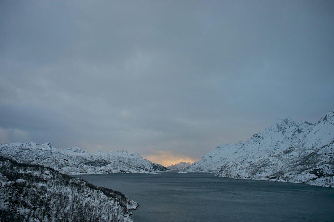 Kristiansand Hunting Clubs in Norway: A Complete Guide for Hunters.