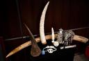 Fantastic news! #Canada bans the trade of #elephant #ivory & #rhino horn including trophy #hunting imports 👏👏🙏 🇨🇦 
#EndangeredSpecies #EndWildlifeTrade