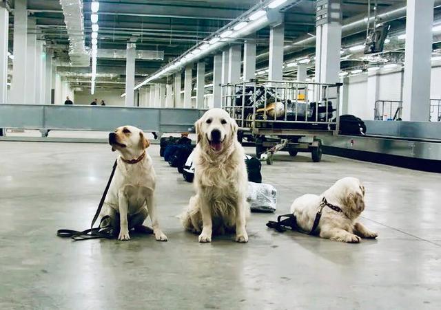 Photo from news post
