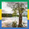 Gabon: all about hunting and fishing, news, forum avatar