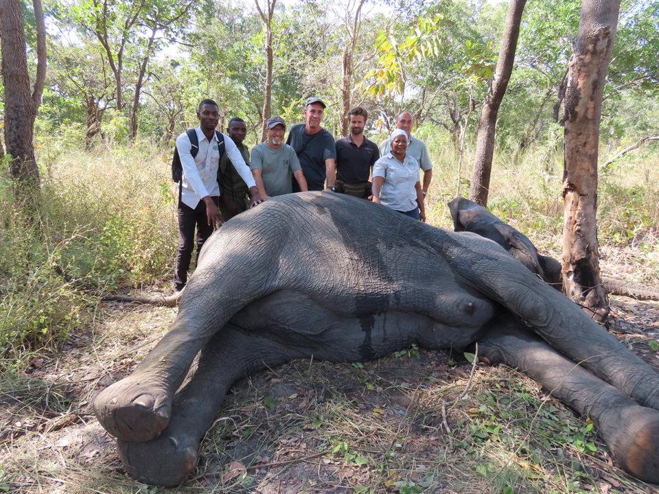 Hunting in GILÉ National Reserve: A Unique African Experience Blending Tradition, Adventure, and Conservation