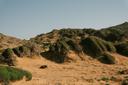 Bird Hunting and Big Game in Fatick: Clubs, Legislation and Communities. A Hunter’s Guide to Senegal’s Wetlands 

The Fatick Department in Senegal is a paradise for hunte