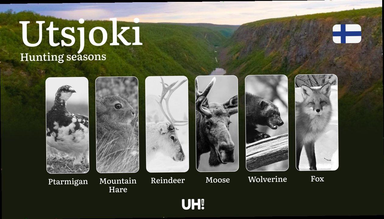 Hunting Seasons in UTSJOKI: Optimal Periods, Licensing Requirements, General Regulations, Restrictions and Prohibitions