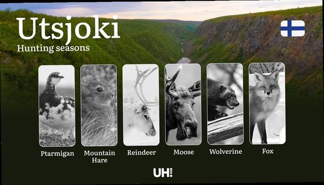 <strong>Hunting</strong> Seasons in UTSJOKI: Optimal Periods, Licensing Requirements, General Regulations, Restrictions and Prohibitions