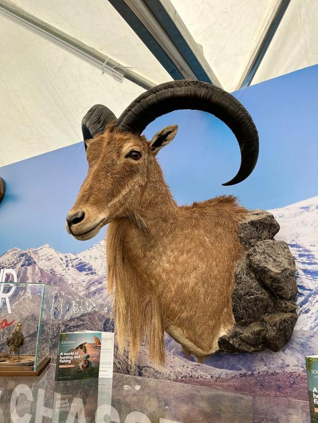 Photo from news post