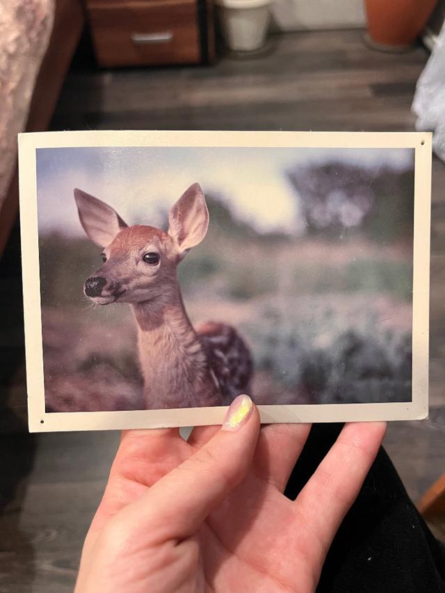 Photo from news post