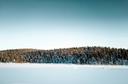 Inari Hunting Explained: Seasons, Laws and Legislation, Demographics, Clubs, and Interesting Facts

Nestled in the heart of Finnish Lapland, Inari is a hunter’s paradise 