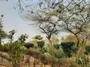 Hunting in Thiès, Senegal: Laws, Geography and Communities. Explore Coastal Beauty and Inland Adventures, Hunting Tours in Bandia Wildlife Reserve

The Thiès Department i