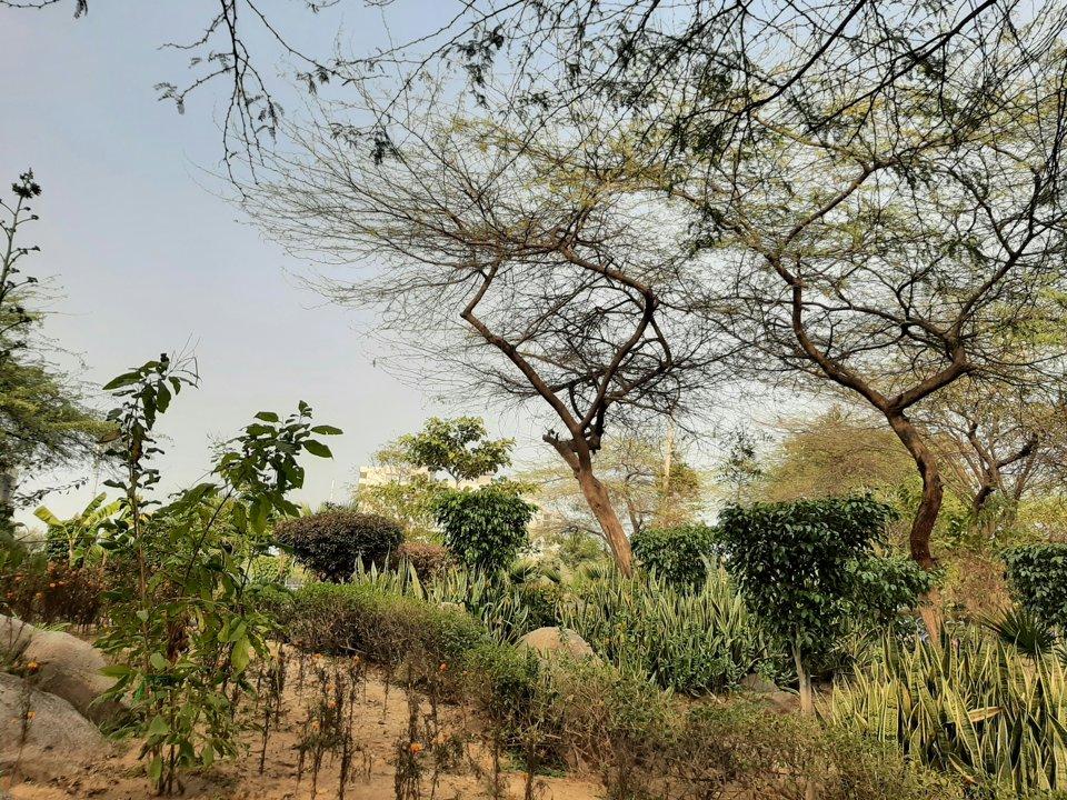 Hunting in Thiès, Senegal: Laws, Geography and Communities.