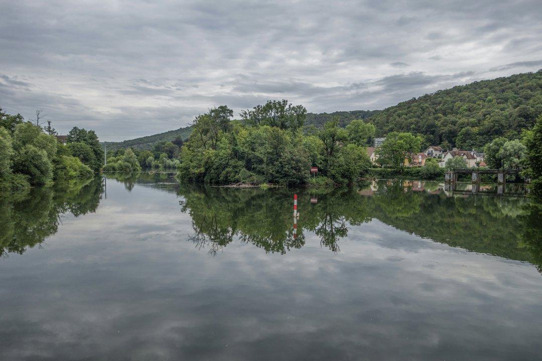La chasse dans le DOUBS: Types de chasse, animaux emblématiques, réglementation régionale et paysages pittoresques