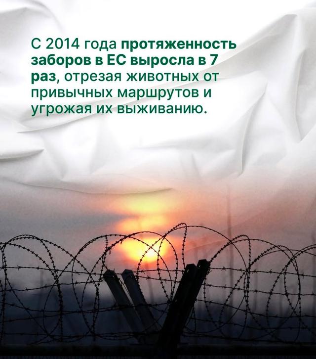 Photo from news post