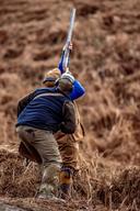 Driven High Pheasant 