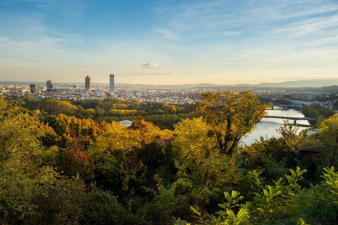 La chasse en MÉTROPOLE DE LYON: Démographie cynégétique, législation encadrante, faune locale et traditions rurales
