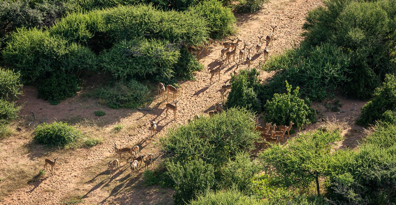 Hunting in Kwango: Geography and Natural Features, Hunting Demographics, and Game Species Diversity
