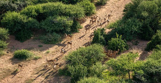 Hunting in Kwango: Geography and Natural Features, Hunting Demographics, and Game Species Diversity