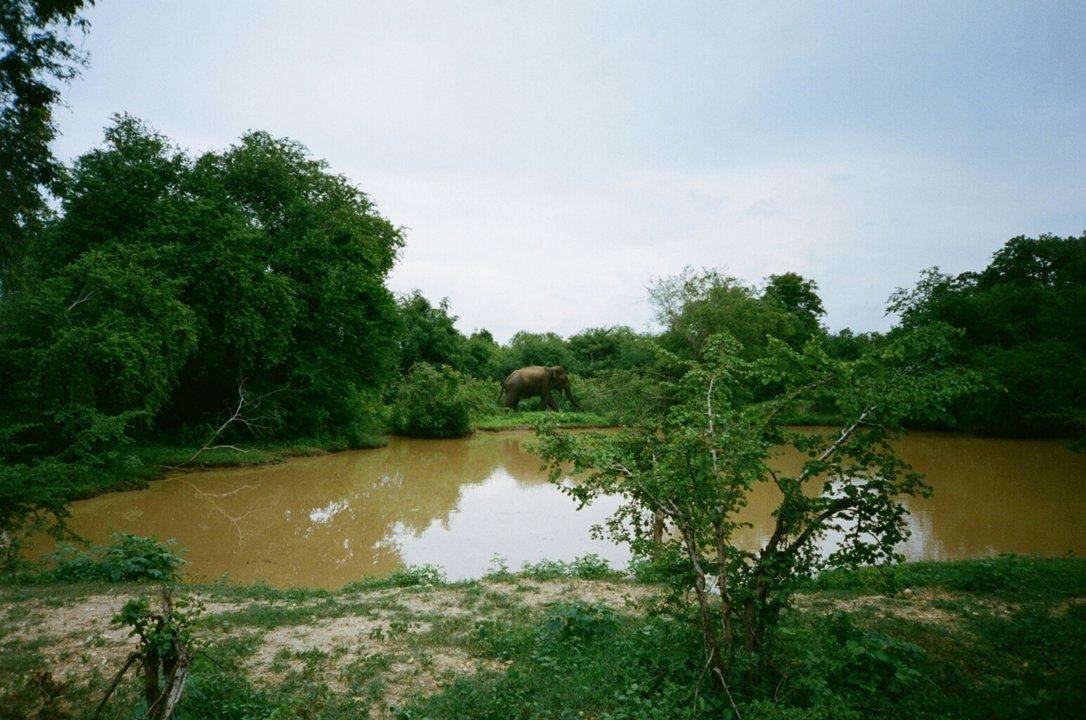 Hunting in Diourbel: Explore Senegal’s Cultural and Natural Treasures, hunting seasons, clubs, laws and traditions