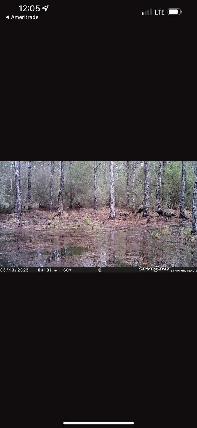 Photo from news post