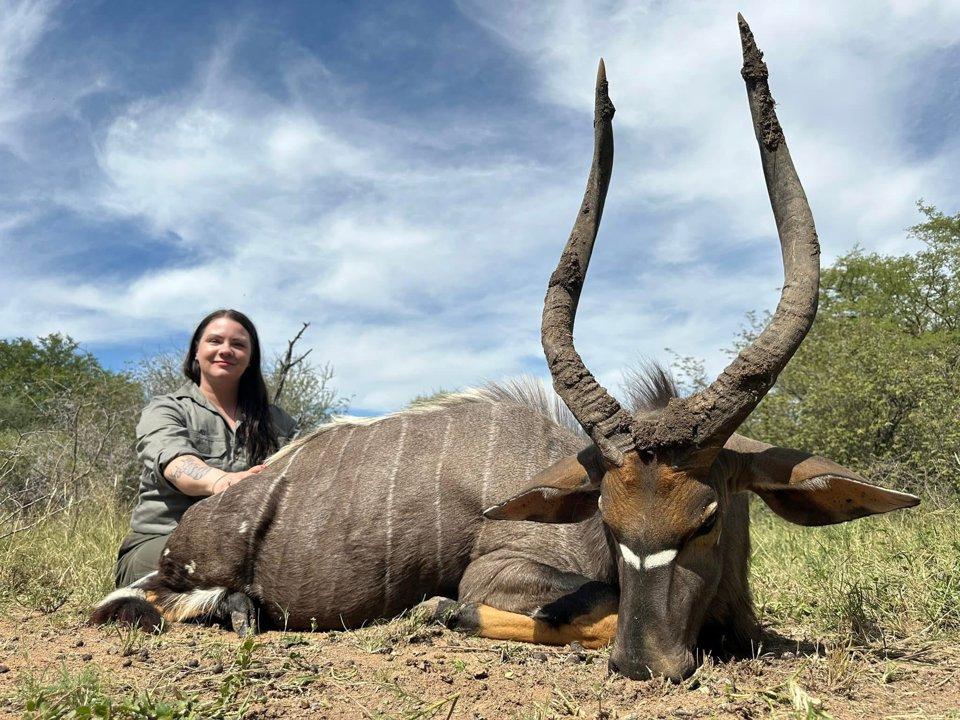 Hunting in Nord-Kivu: Mountain Forest Terrain, Local Hunting Cultures, and Species Diversity