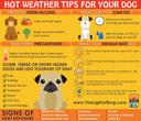 The best ways to keep your pets cool this summer

A lot of us are excited about the warmer temperatures, which means more time outside with our furry friends.

Experts say to keep our pets safe from the heat, walk your dog early in the morning or later in the evening when the temperatures are cooler. Limit their time outside when it’s especially hot out and keep them hydrated.

Never leave your dog inside the car, even if you have a quick trip inside a store. A car can heat up quickly in just a few minutes.

We have shoes to protect our feet but our pets don’t have that option, so don’t walk them on the hot pavement which can badly burn their paws. Instead, walk in grassy areas.

If they are overheated, cool them off underneath their armpits, chest, and ears. If they will drink water, give them lukewarm, not ice-cold water because you don’t want to shock their system and get them to a vet as soon as possible.

If it’s just simply too hot for those walks, there are plenty of ways to give your pets the much-needed mental stimulation with games like hide and go seek, and food puzzles. Another good and fun way to get some exercise is to train your dog to use the treadmill.