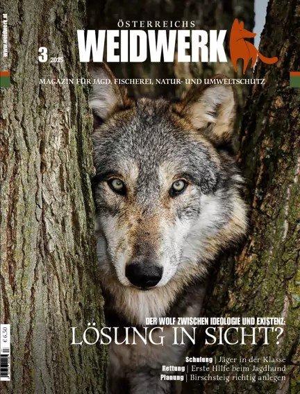 Photo from news post