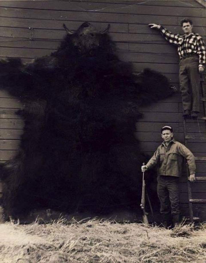 Photo from news post