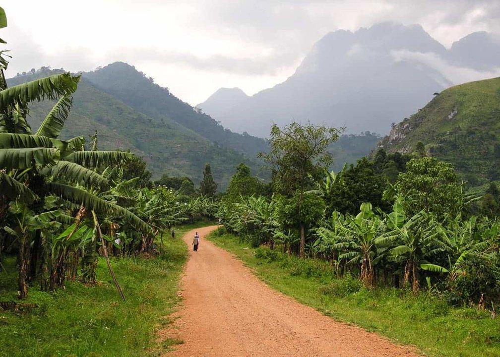 Hunting in Sembabule Region, Uganda: A Detailed Exploration of the Best Hunting Spots and Cultural Practices (Part I)