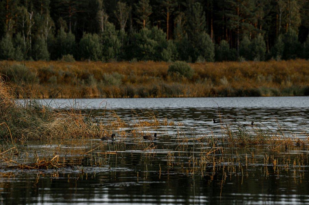 Dundgovi Province, Mongolia: unique game and hunting experience, Demographics, Clubs, Laws and Hunting Seasons
